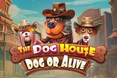 Слот Thedoghousedogoralive Малина Казино